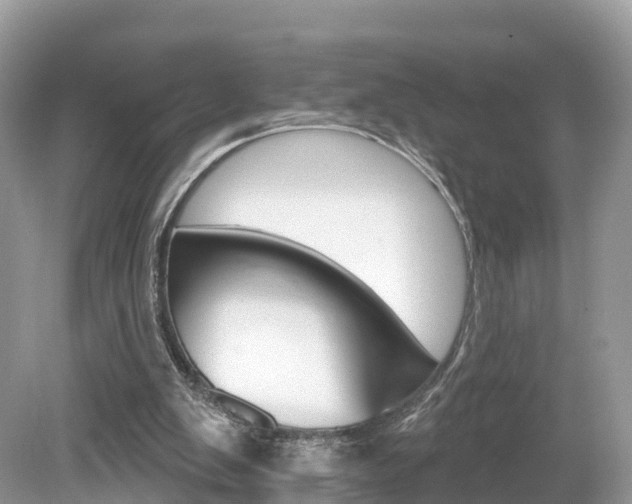 X0000080180103200612081144