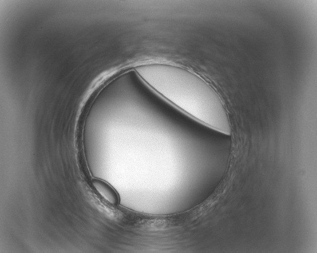 X0000080180104200612081144