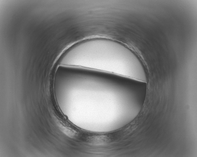 X0000080180108200612081144