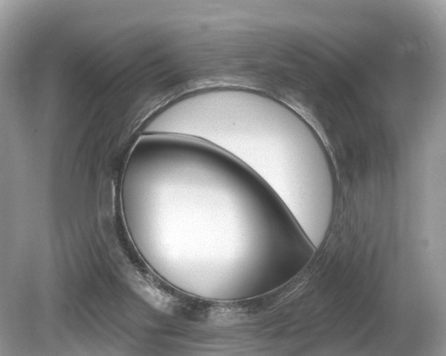X0000080180109200612081144