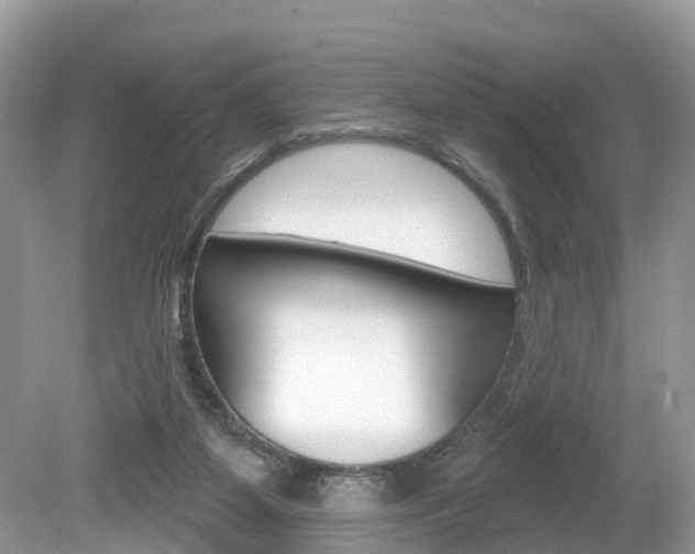 X0000080180115200612081144