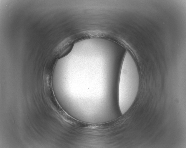X0000080180117200612081144