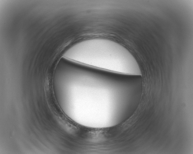 X0000080180120200612081144