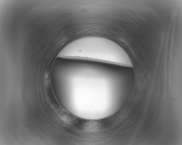 X0000080180123200612081144