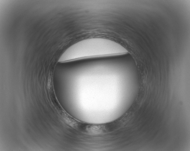 X0000080180129200612081144