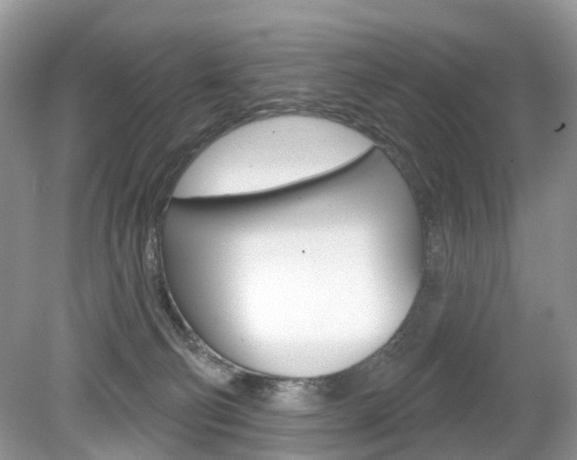 X0000080180130200612081144