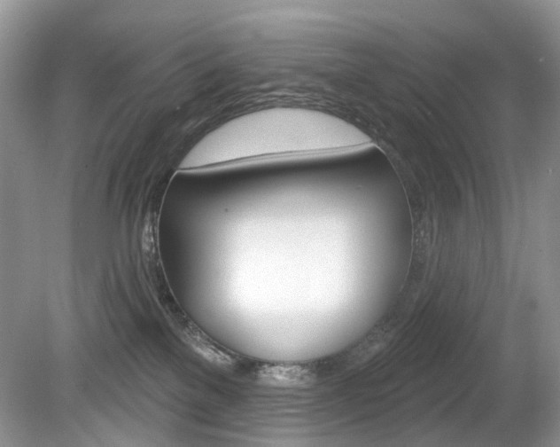 X0000080180137200612081144