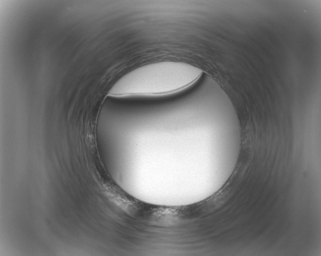 X0000080180140200612081144