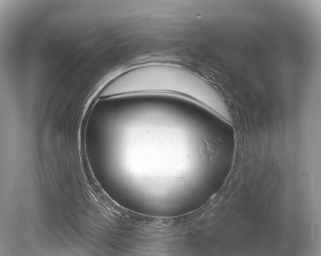 X0000080180148200612081143