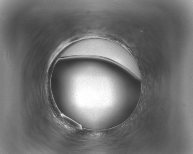 X0000080180152200612081143