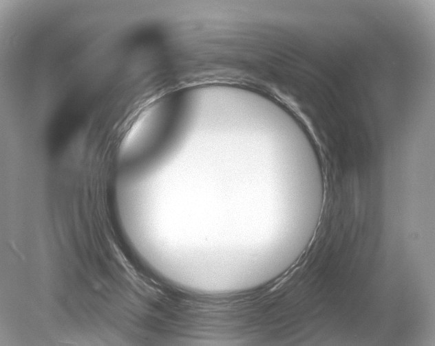 X0000080180154200612081143