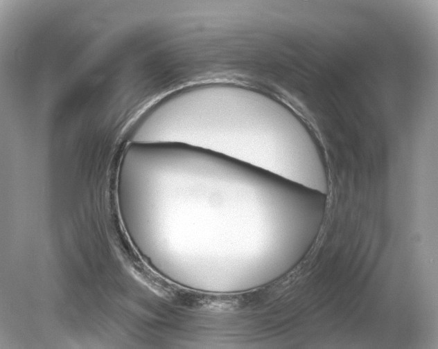 X0000080180155200612081143