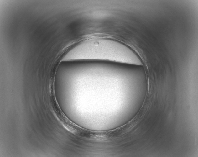 X0000080180157200612081143