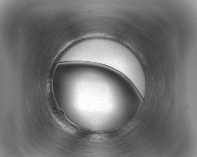 X0000080180160200612081143