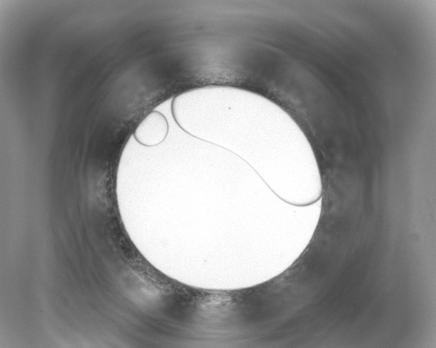 X0000080180162200612081143