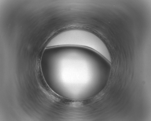 X0000080180168200612081143
