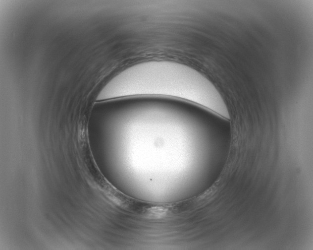 X0000080180176200612081143