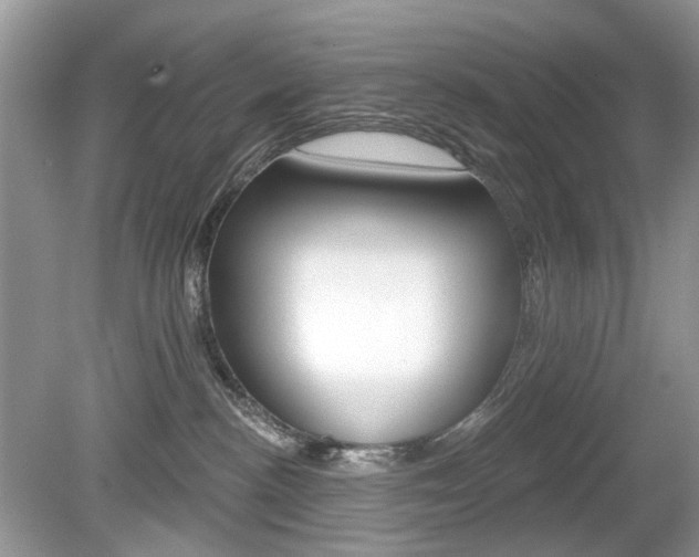 X0000080180188200612081143