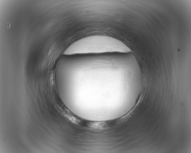 X0000080180191200612081143