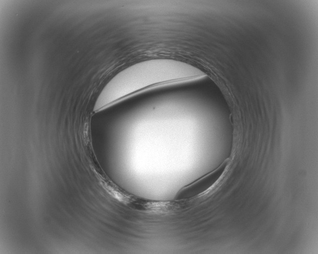 X0000080180192200612081143