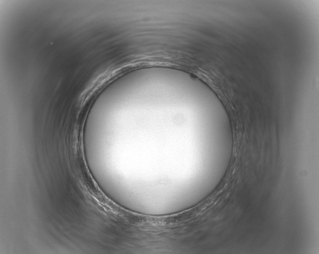 X0000080180194200612081143