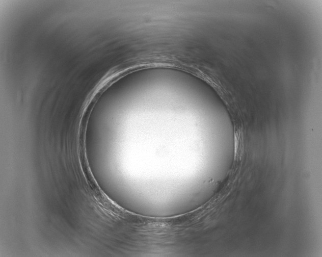 X0000080180195200612081143