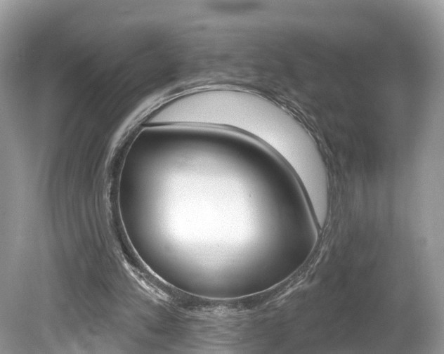 X0000080180197200612081143