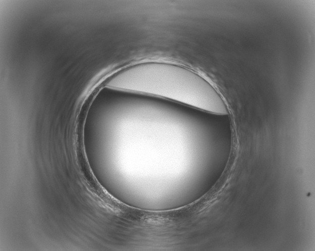 X0000080180199200612081142