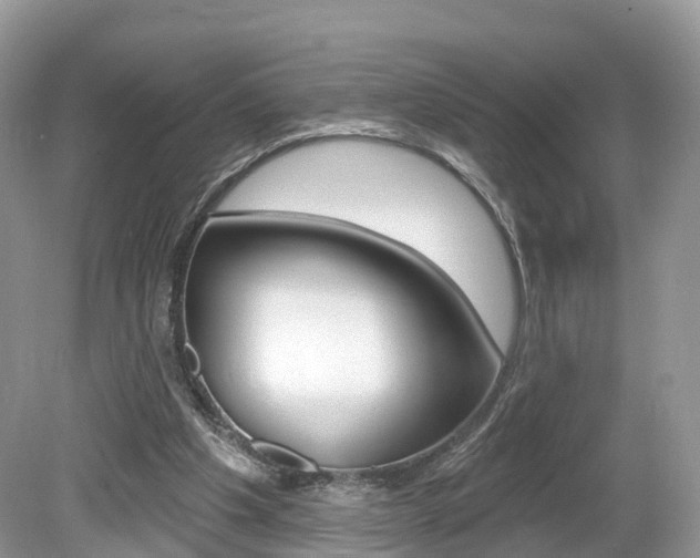 X0000080180201200612081142