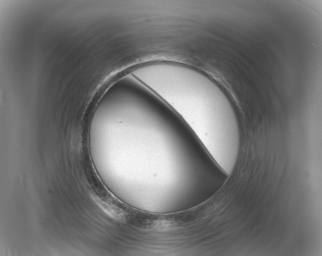 X0000080180204200612081142