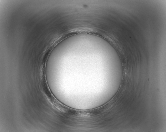 X0000080180206200612081142