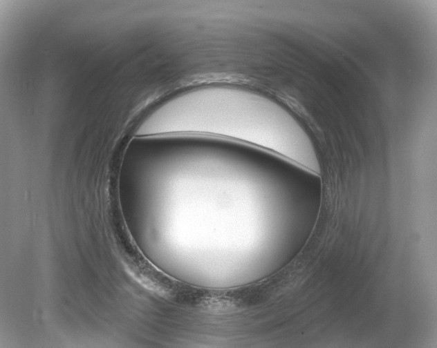 X0000080180207200612081142