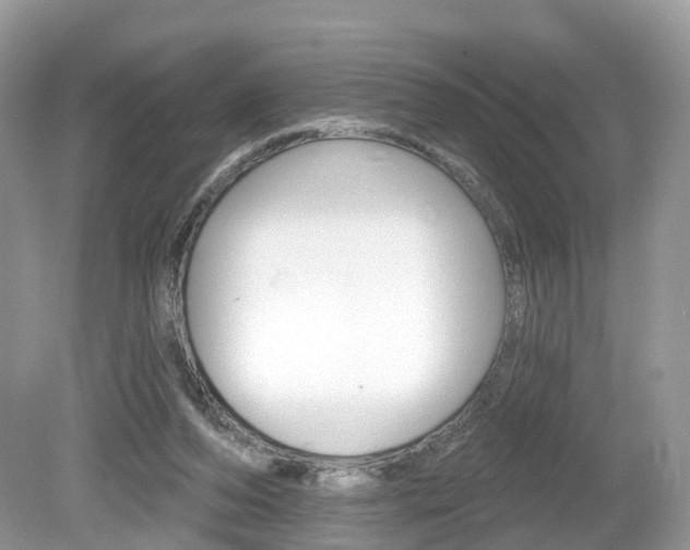 X0000080180208200612081142