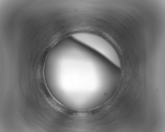 X0000080180209200612081142