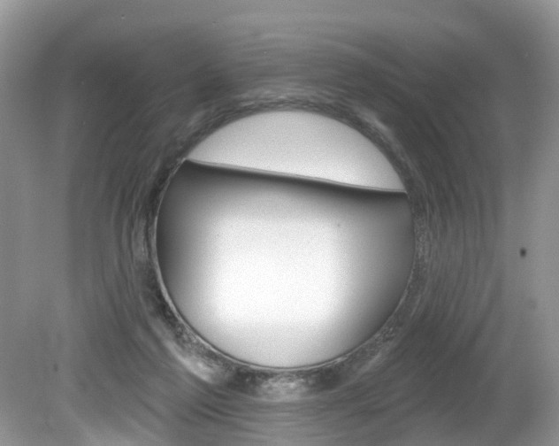 X0000080180213200612081142