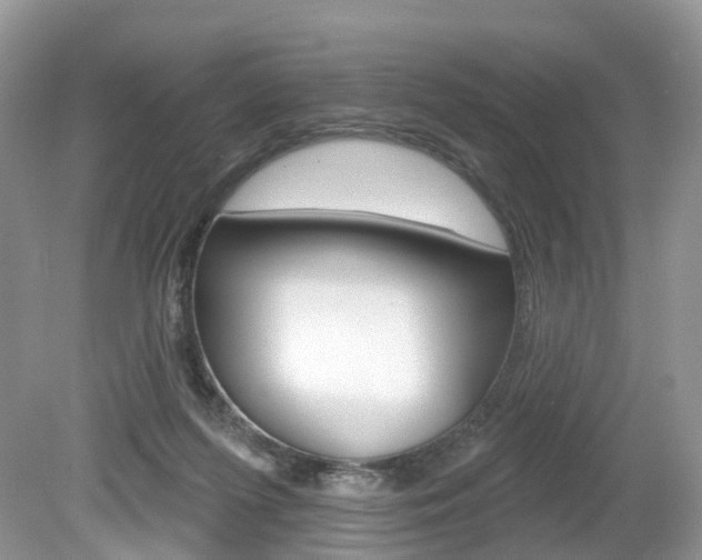 X0000080180215200612081142