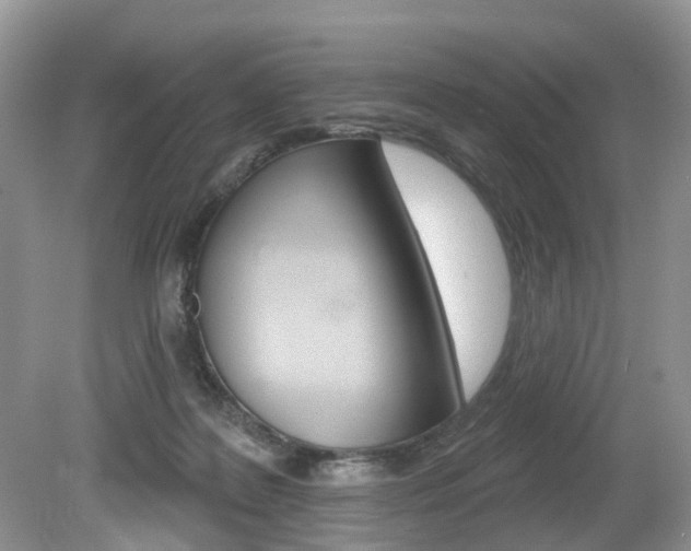 X0000080180219200612081142