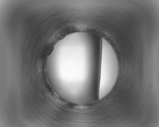 X0000080180221200612081142