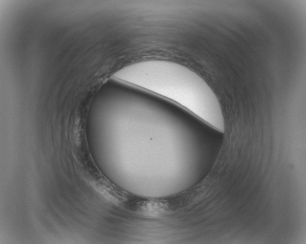 X0000080180223200612081142