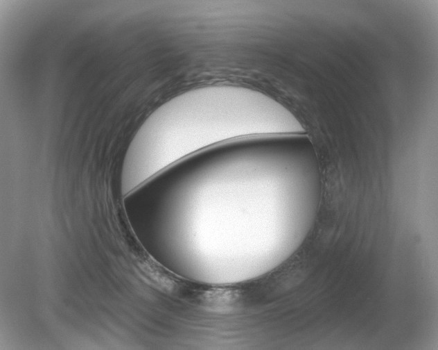 X0000080180225200612081142