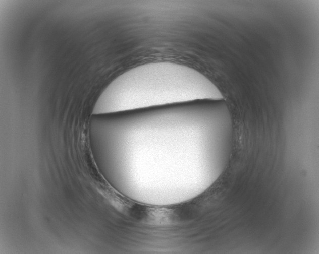 X0000080180226200612081142