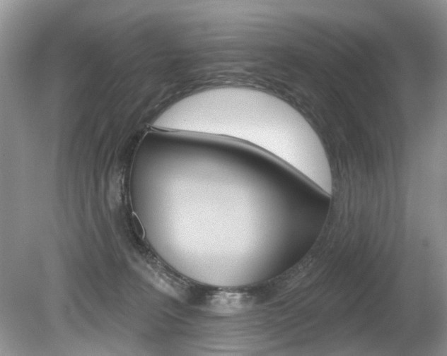 X0000080180227200612081142