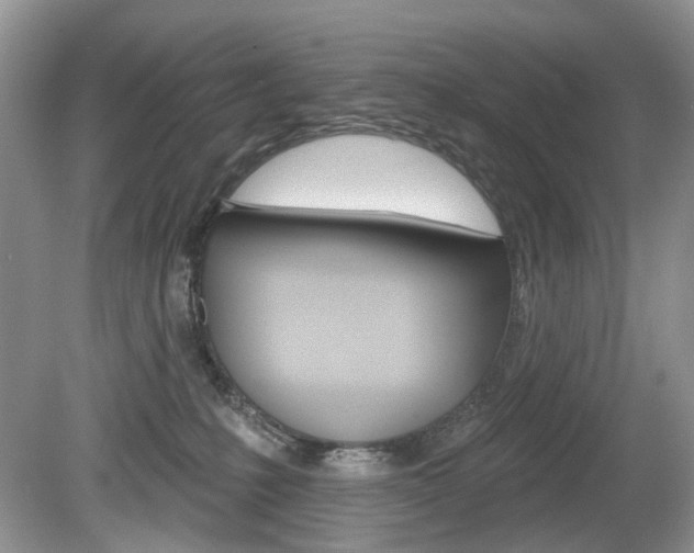X0000080180231200612081142