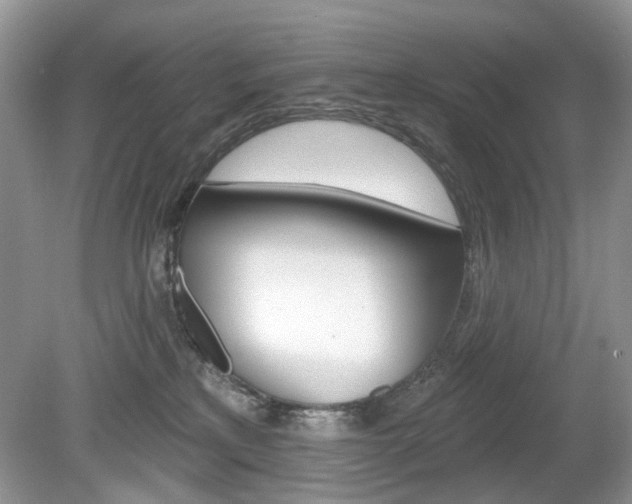 X0000080180233200612081142