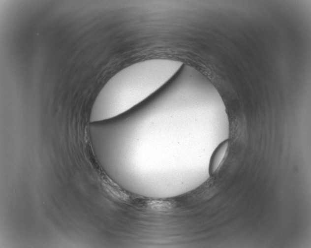X0000080180234200612081142