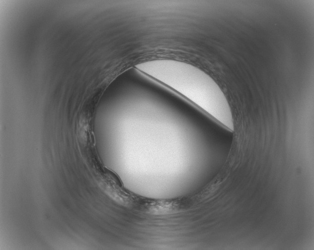 X0000080180235200612081142