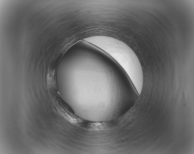 X0000080180239200612081142