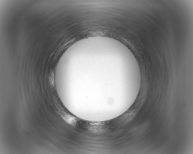 X0000080180240200612081142