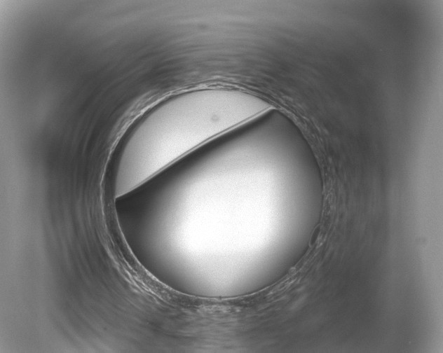 X0000080180242200612081141