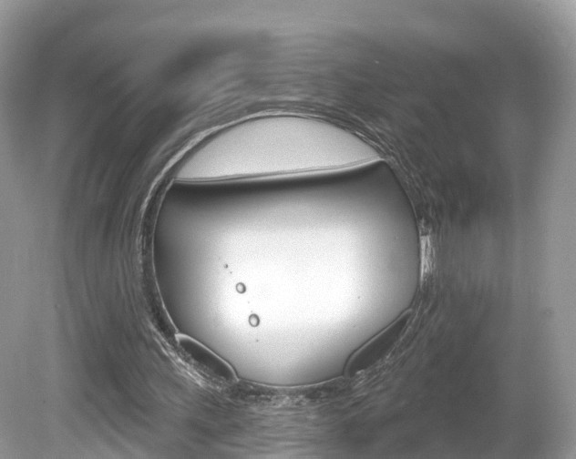 X0000080180243200612081141